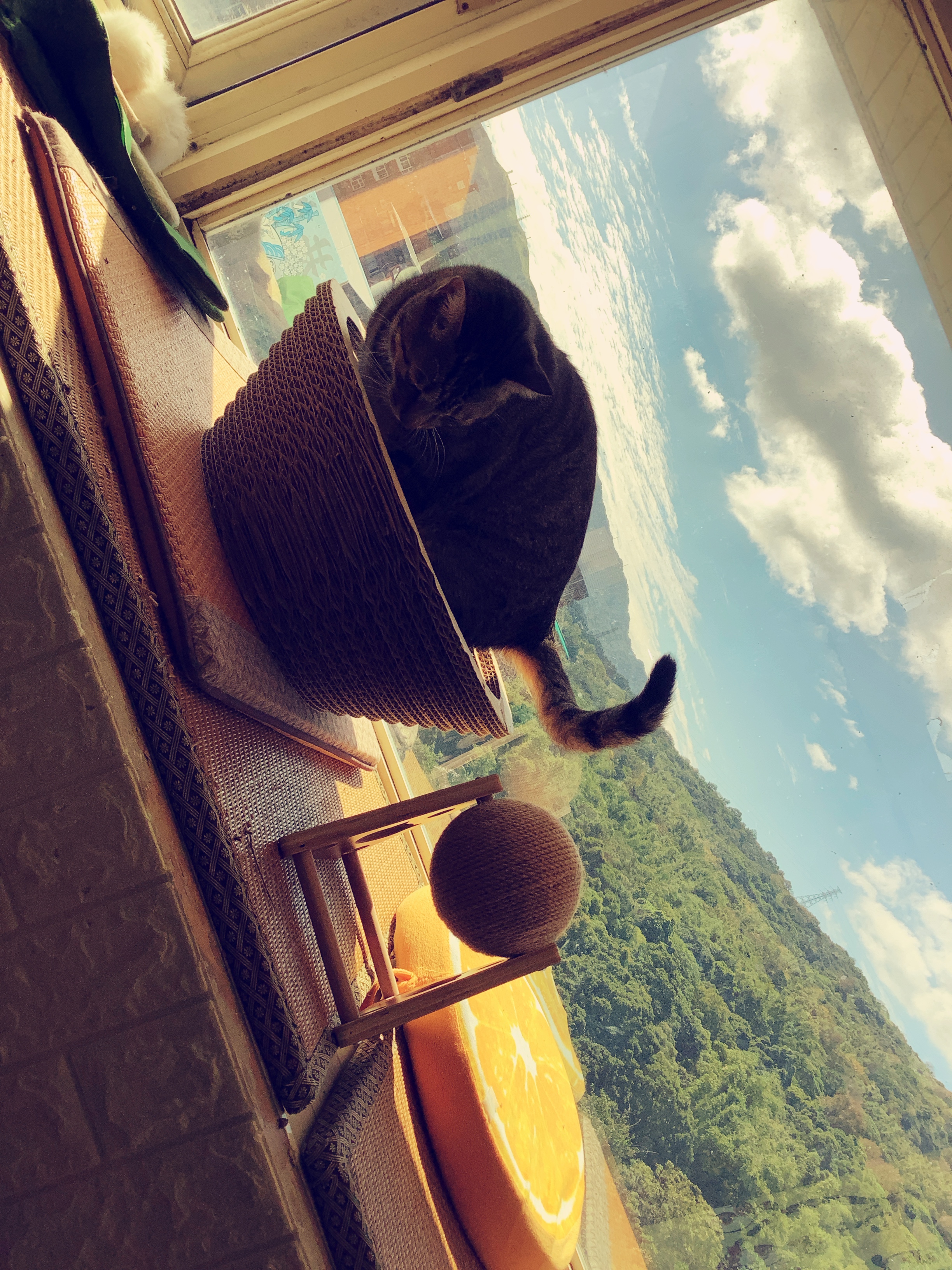 LeetCode - 2463 Minimum Total Distance Traveled