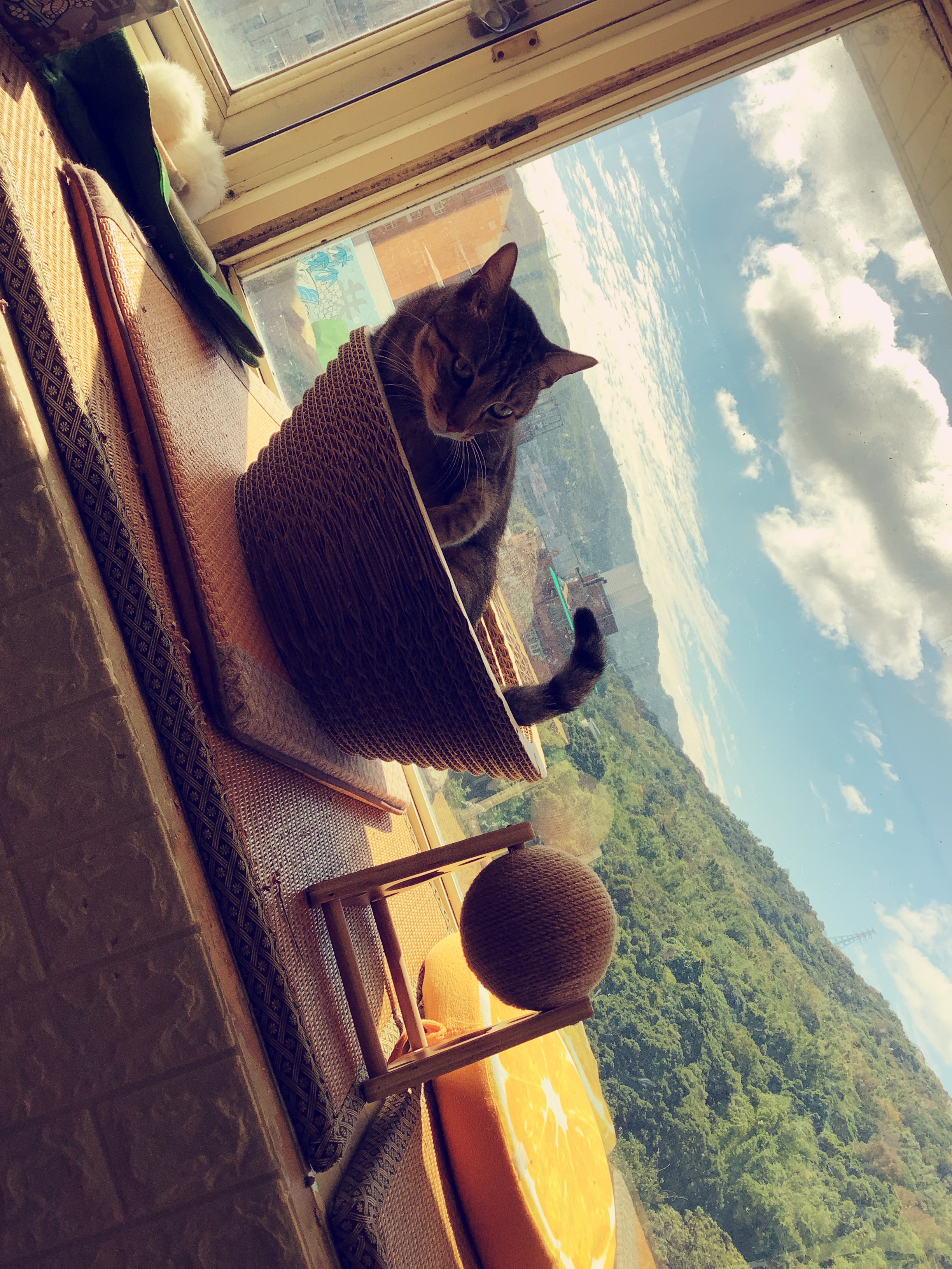 LeetCode - 35. Search Insert Position