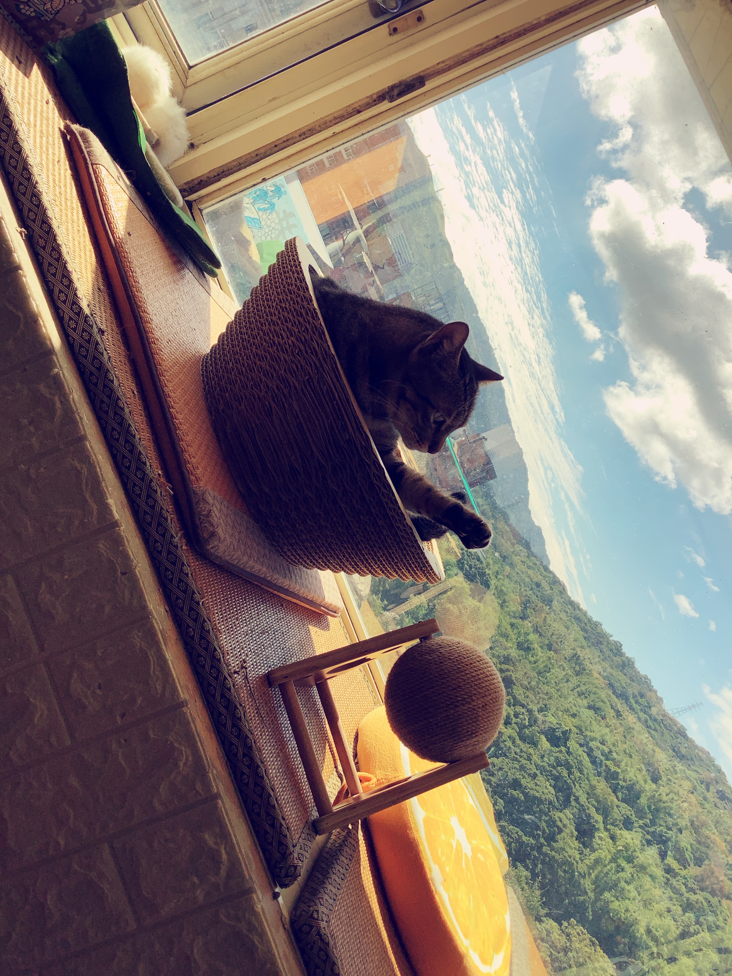 Algorithm - Binary Search