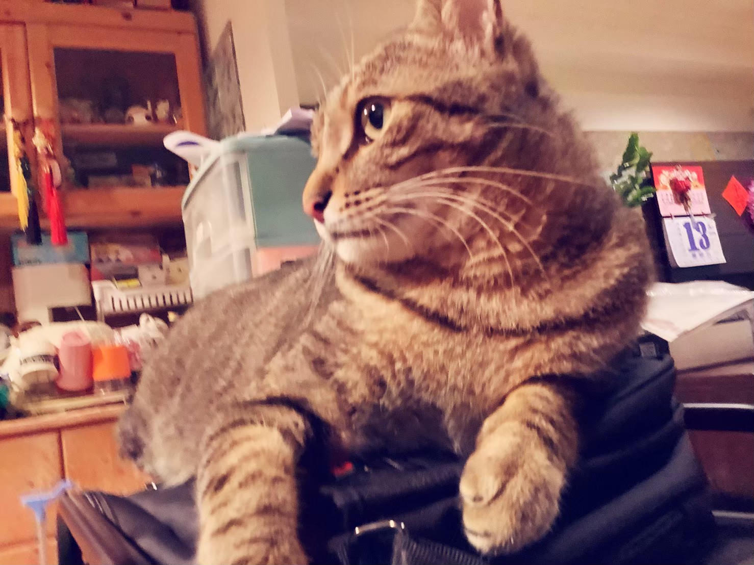 LeetCode - LCS Series